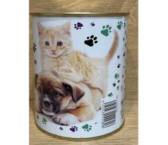 pokladnička s motívom mačka, pes