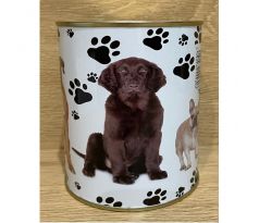 Pokladnička s motívom - pes
