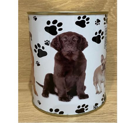 Pokladnička s motívom - pes