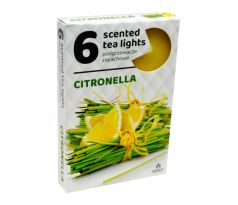 ADMIT vonné čajové sviečky Citronella - 6ks