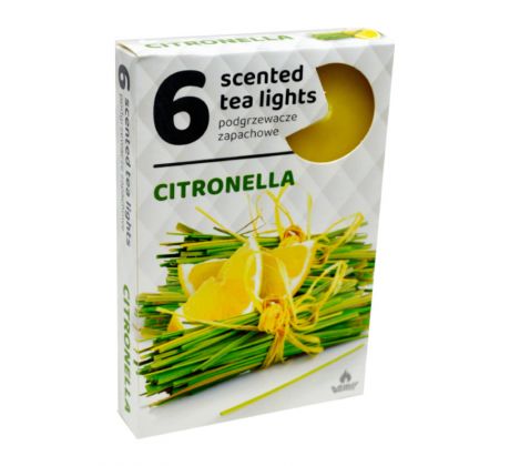 ADMIT vonné čajové sviečky Citronella - 6ks