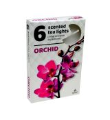 ADMIT vonné čajové sviečky Orchid - 6ks