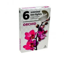 ADMIT vonné čajové sviečky Orchid - 6ks