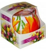 Admit Vonná sviečka Tulipány 80g