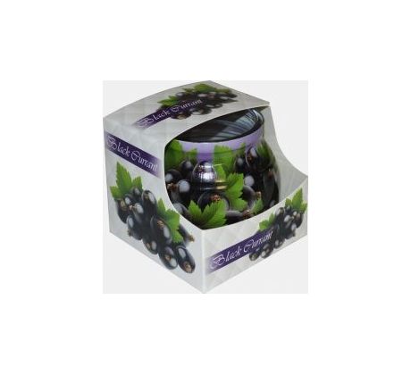 Admit Vonná sviečka Čierna Ríbezľa 80g