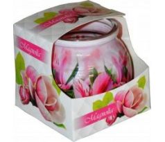 Admit Vonná sviečka Magnólia 80g