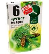 Admit Vonné čajové sviečky Spruce 6ks