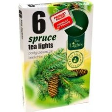Admit Vonné čajové sviečky Spruce 6ks