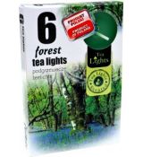 Admit Vonné čajové sviečky Forest 6ks
