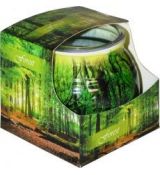 Admit Vonná sviečka Forest 80g
