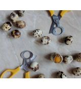 Nožnice na prepeličie vajíčka