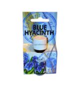 Admit Vonný olej Modrý hyacint 10ml