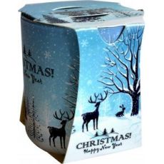 Admit Vonná sviečka, VERONA 90g - Christmas Winter