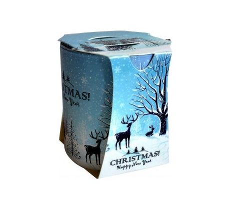 Admit Vonná sviečka, VERONA 90g - Christmas Winter