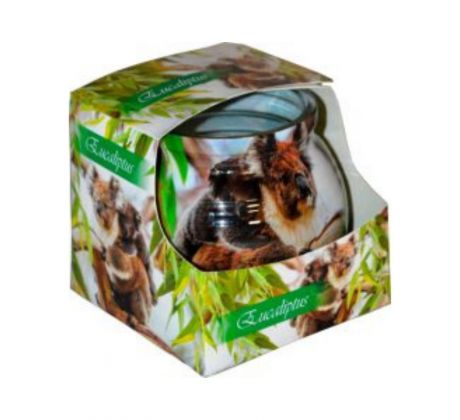 Admit Vonná sviečka Eukalyptus 80g