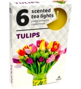 Admit Vonné čajové sviečky Tulipány 6ks
