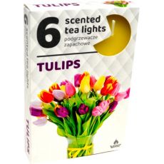 Admit Vonné čajové sviečky Tulipány 6ks
