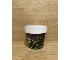 Plastový kvetinač, Bylinky - 11x12cm