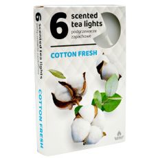 Admit Vonné čajové sviečky Cotton Fresh 6ks