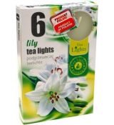 Admit Vonné čajové sviečky Lily Of The Valley 6ks