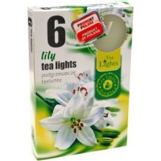 Admit Vonné čajové sviečky Lily Of The Valley 6ks