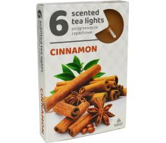 Admit Vonné čajové sviečky Cinnamon - 6ks