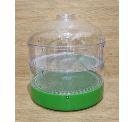 Klíčkovnica, dvojzásobníková - zelena/priesvitná