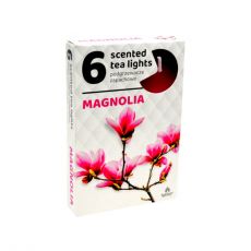 ADMIT vonné čajové sviečky Magnolia - 6ks