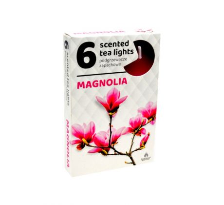 ADMIT vonné čajové sviečky Magnolia - 6ks